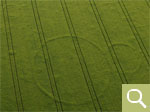 Positive crop marks of a group of burial mounds in cereals