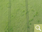 Positive crop marks of graves and settlements