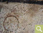 Vertical image of a circular ditch and a probably Early Bronze Age house ground plan (date of recording 20.02.2020)