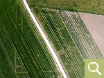 Part of the courtyard complex of a villa rustica shows as a negative crop marks in the winter cereals (date of recording 13.04.2020).