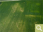 The remains of a complete villa rustica can only be detected from the air on the basis of negative vegetation features in the summer wheat (date of recording 17.05.2020).