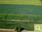 The backfilled ditches of a Hallstatt period ditch system shows up by means of positive crop marks in the winter wheat (date of recording 17.05.2020).