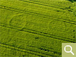 A Bronze Age burial ground can be made out from the air due to positive crop marks in spring barley (date of recording 28.06.2020).