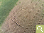 A known ditch with interior development can be made out in detail in the ripening winter wheat due to crop marks (photo date 03.07.2022)