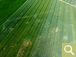 Negative crop marks in a winter wheat field provide evidence of a villa rustica not previously documented by aerial photographs